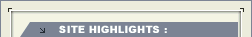WebWiser's Company Highlights